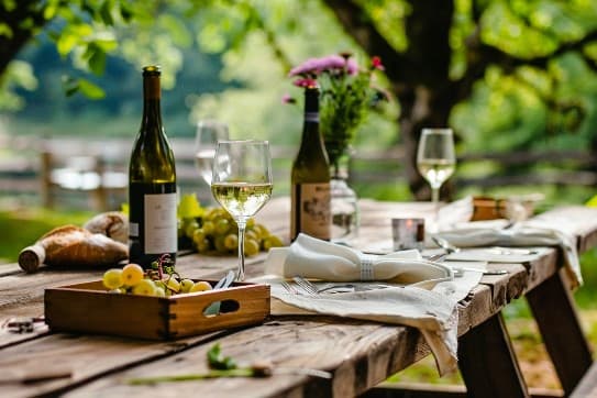 Ruoka- ja viinimatkat